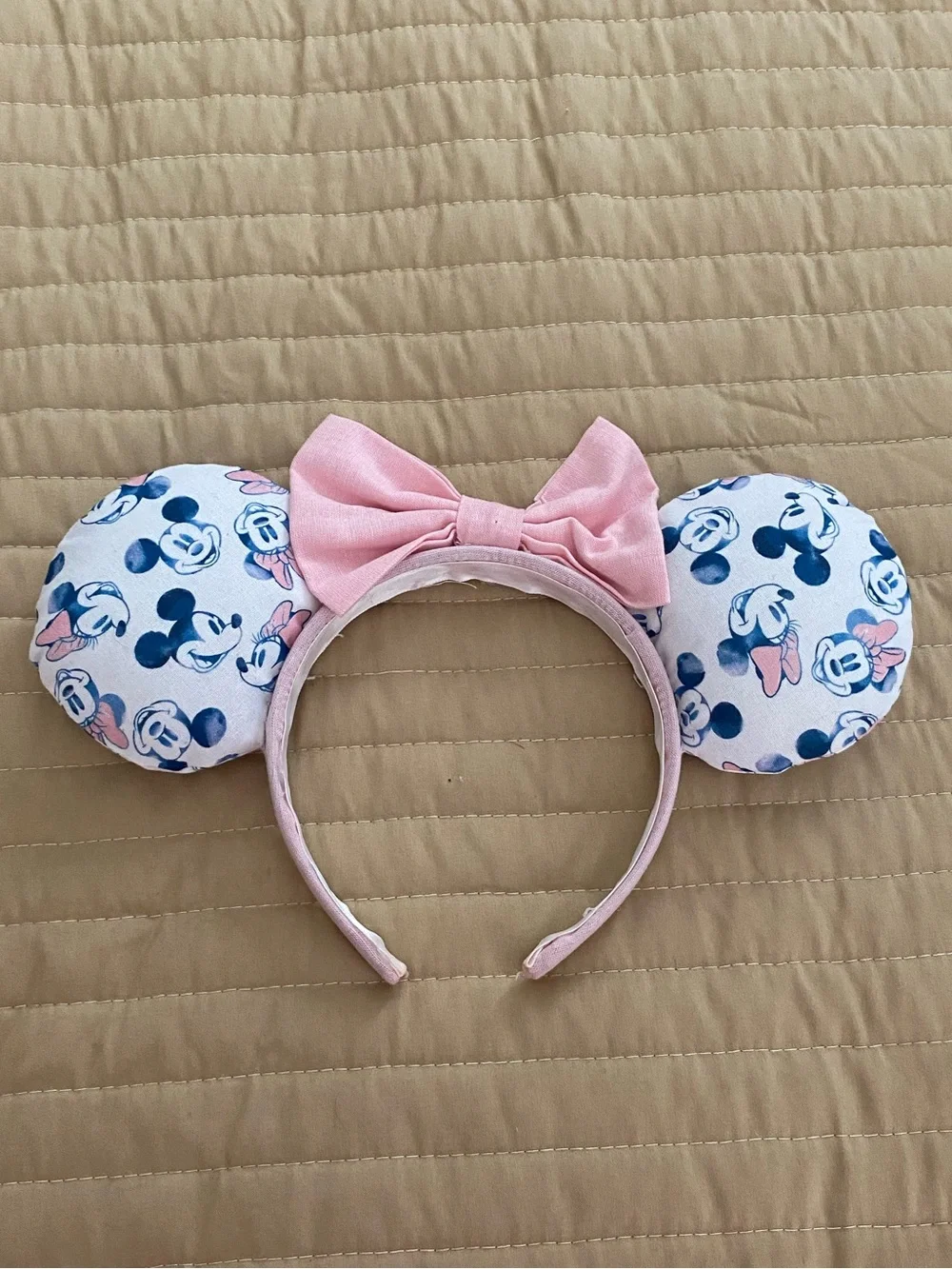Mickey ears bundle